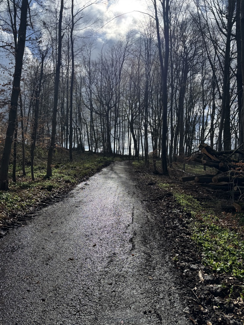 Osterpfad Aichschieß – Familienweg mit Mitmachstationen - Galeriebild 8