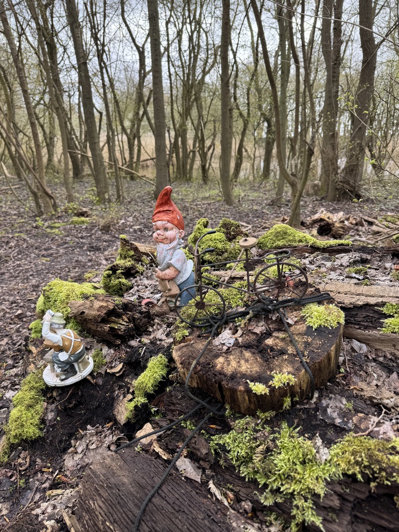 Zwergenwald Renesse: Magischer Familien-Waldspaziergang - Galeriebild 1