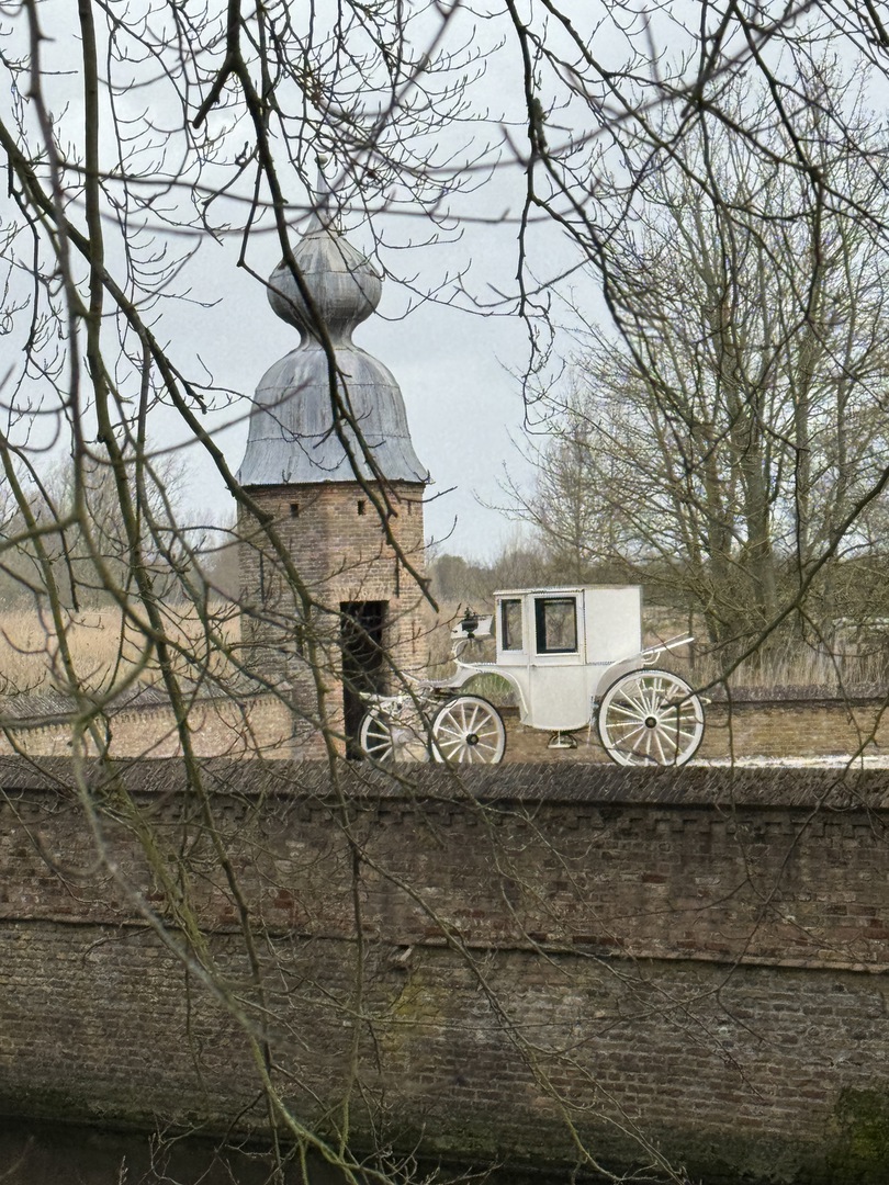 Zwergenwald Renesse: Magischer Familien-Waldspaziergang - Galeriebild 2