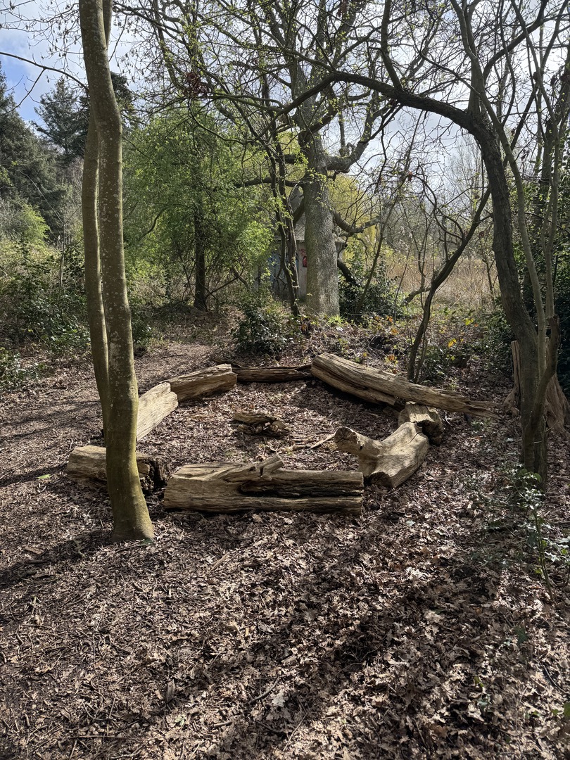 Zwergenwald Renesse: Magischer Familien-Waldspaziergang - Galeriebild 4