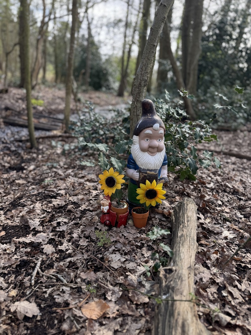 Zwergenwald Renesse: Magischer Familien-Waldspaziergang - Galeriebild 5