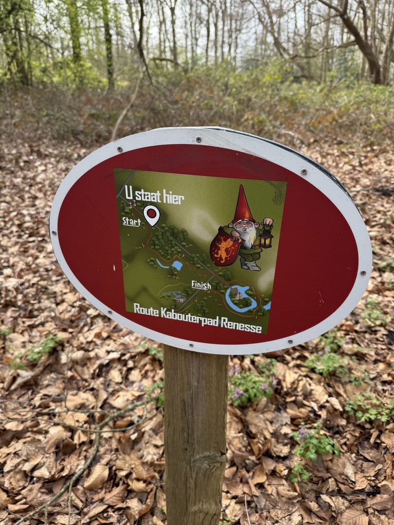 Zwergenwald Renesse: Magischer Familien-Waldspaziergang - Galeriebild 7