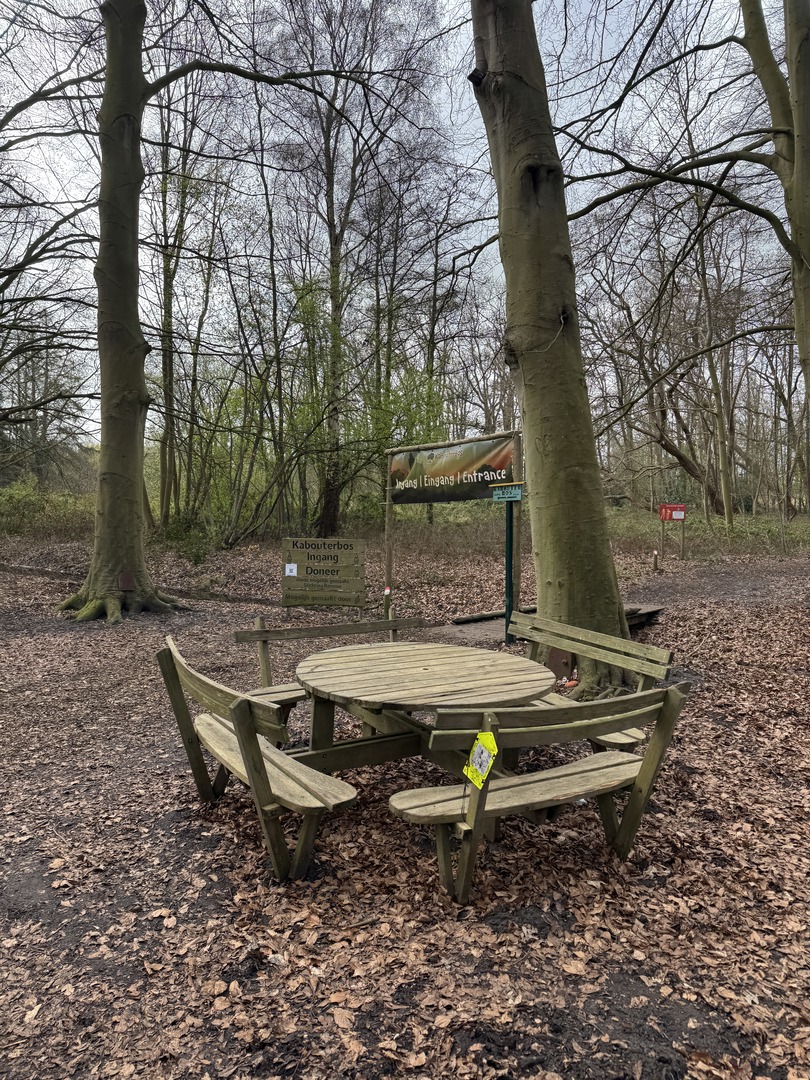 Zwergenwald Renesse: Magischer Familien-Waldspaziergang - Galeriebild 8