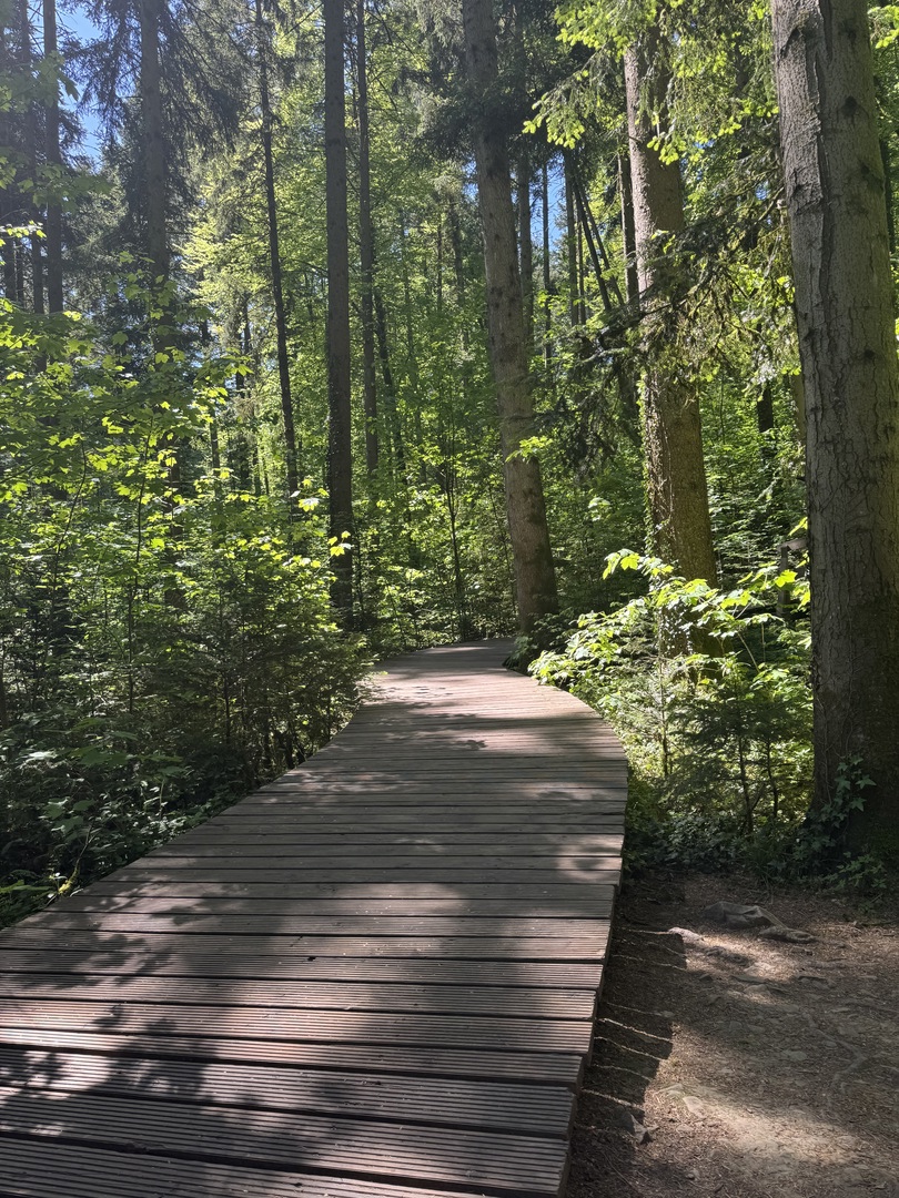 Himmelsgarten Schwäbisch Gmünd - Galeriebild 12