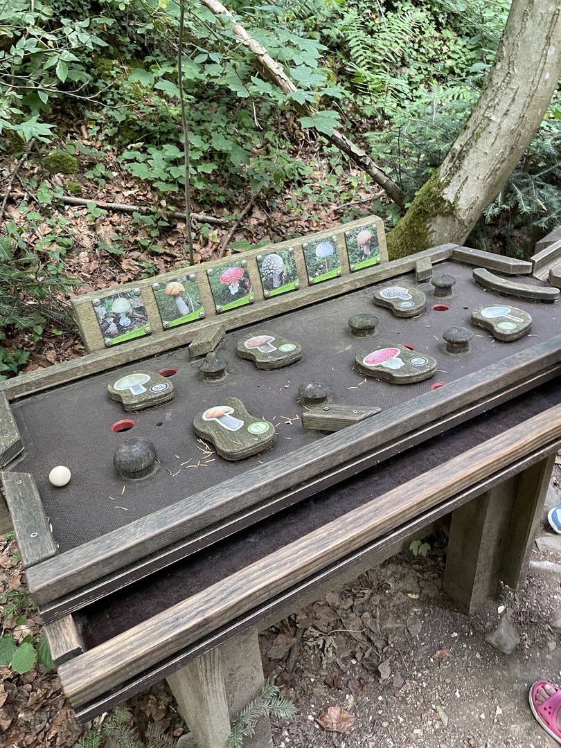 Himmelsgarten Schwäbisch Gmünd - Galeriebild 13