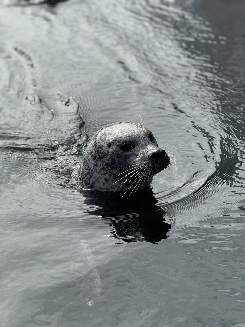 Deltapark Neeltje Jans: Erlebnispark & Sturmflut hautnah - Galeriebild 1