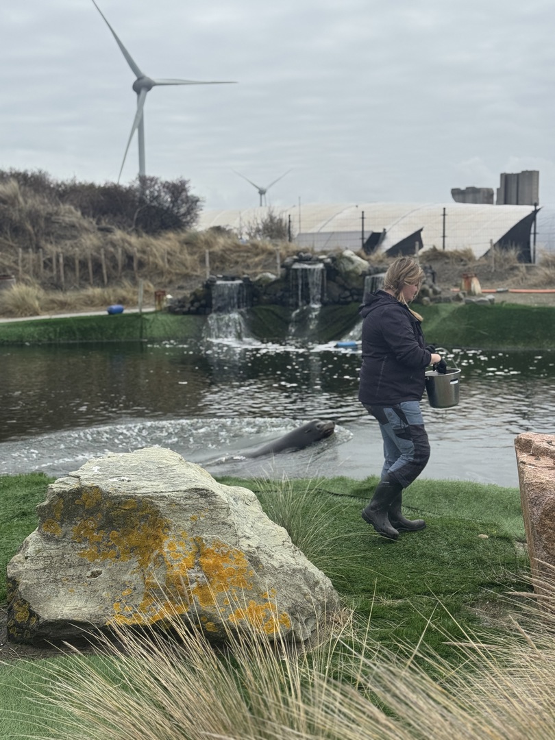 Deltapark Neeltje Jans: Erlebnispark & Sturmflut hautnah - Galeriebild 2