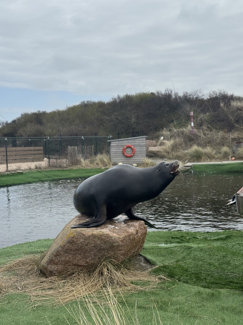 Deltapark Neeltje Jans: Erlebnispark & Sturmflut hautnah - Galeriebild 4