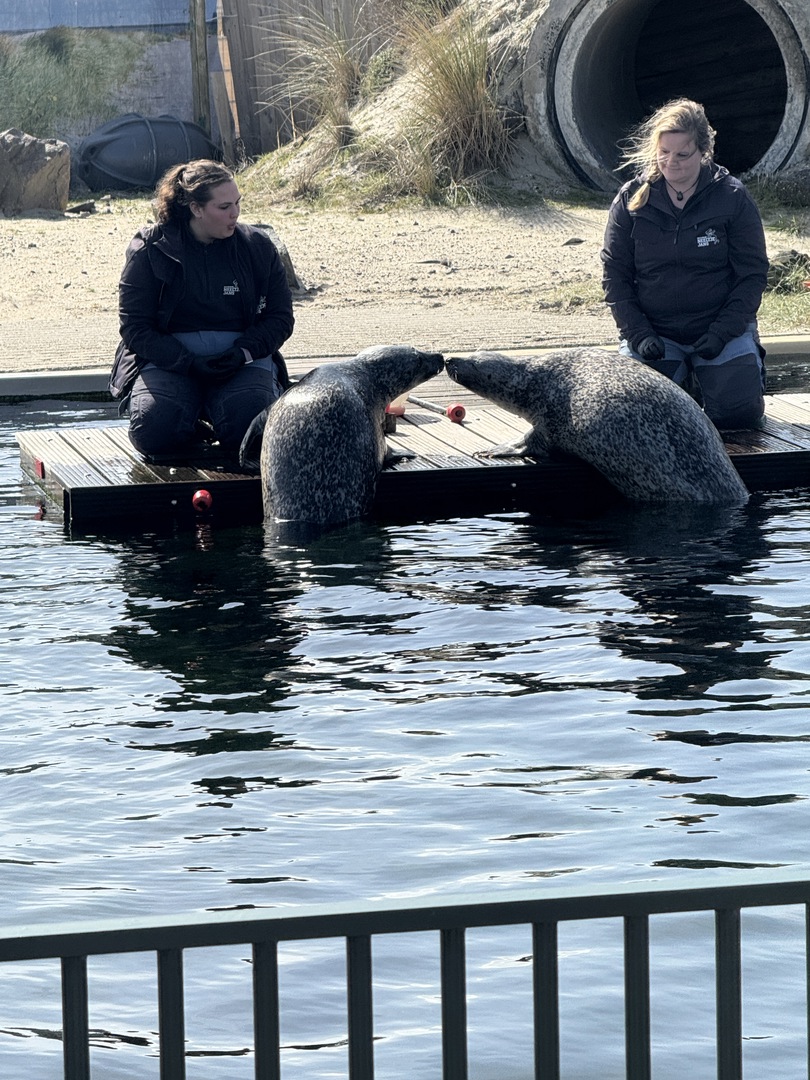 Deltapark Neeltje Jans: Erlebnispark & Sturmflut hautnah - Galeriebild 9