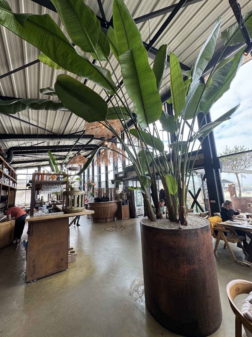 Strandclub Horizon Renesse: Essen mit Urlaubsfeeling - Galeriebild 16