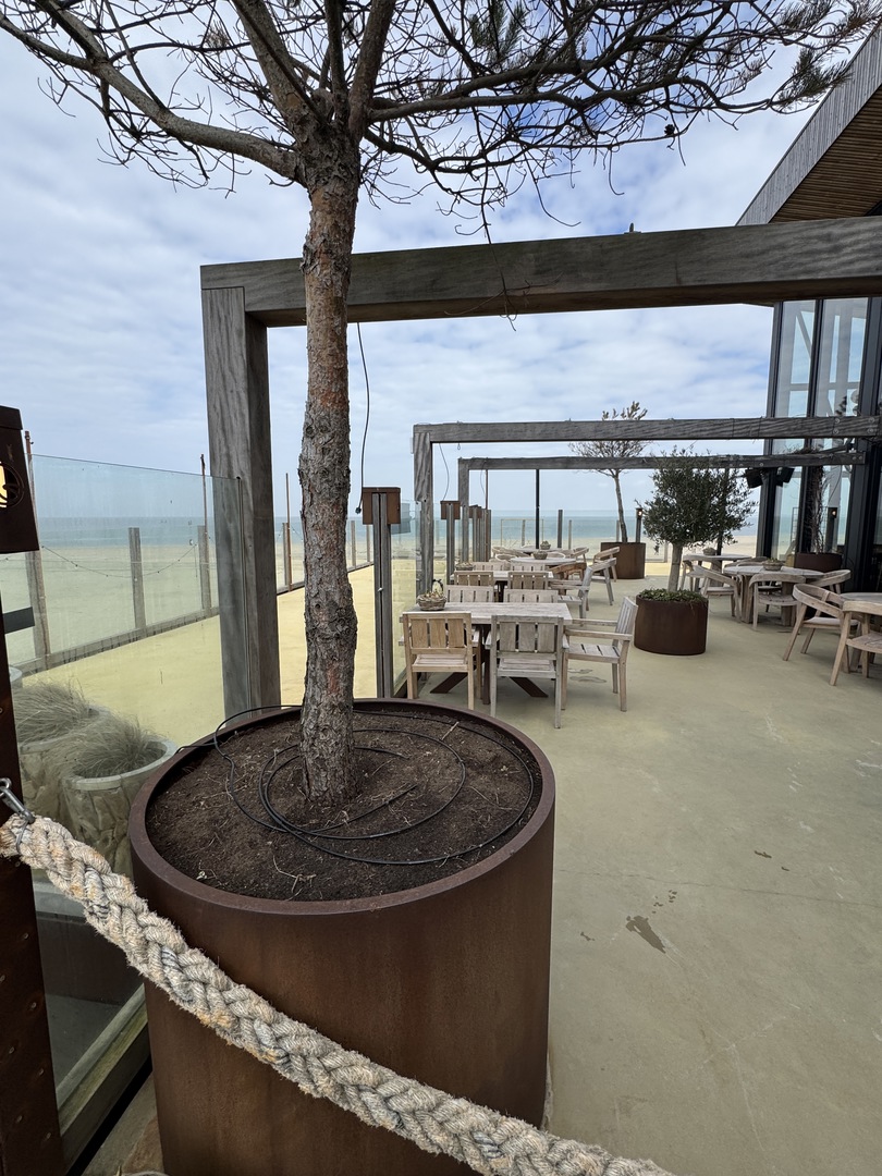 Strandclub Horizon Renesse: Essen mit Urlaubsfeeling - Galeriebild 23