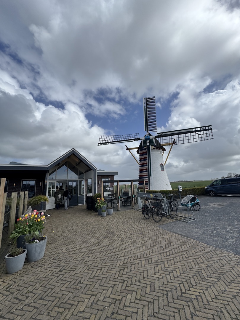 Pfannkuchenhaus De Molen: Genuss bei einer echten Windmühle - Galeriebild 1