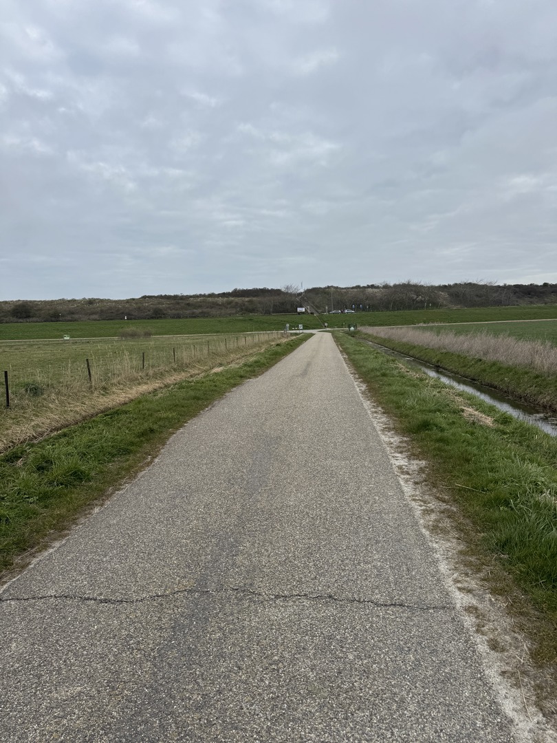 Strandspaziergang Renesse: Muscheln, Meer & Abenteuer - Galeriebild 2