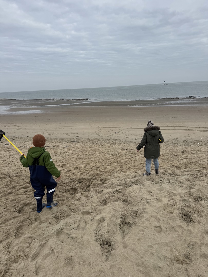 Strandspaziergang Renesse: Muscheln, Meer & Abenteuer - Galeriebild 3