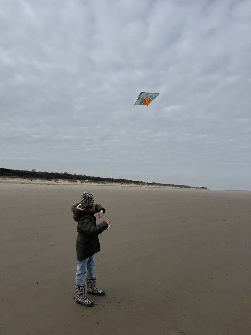 Strandspaziergang Renesse: Muscheln, Meer & Abenteuer - Galeriebild 8