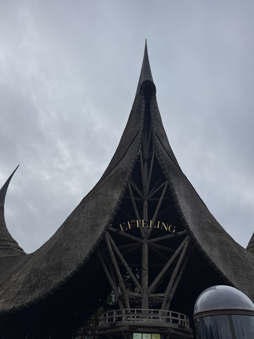 Efteling Freizeitpark: Magie, Achterbahnen & Familienspaß - Galeriebild 8