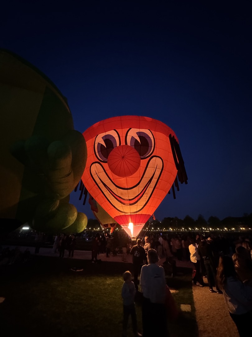 Ballonblühen Ludwigsburg: Farben, Drachen & Familienzauber - Galeriebild 2