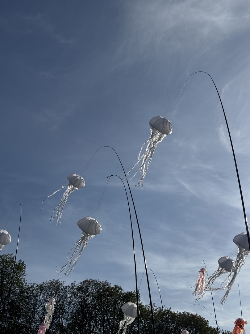 Ballonblühen Ludwigsburg: Farben, Drachen & Familienzauber - Galeriebild 11