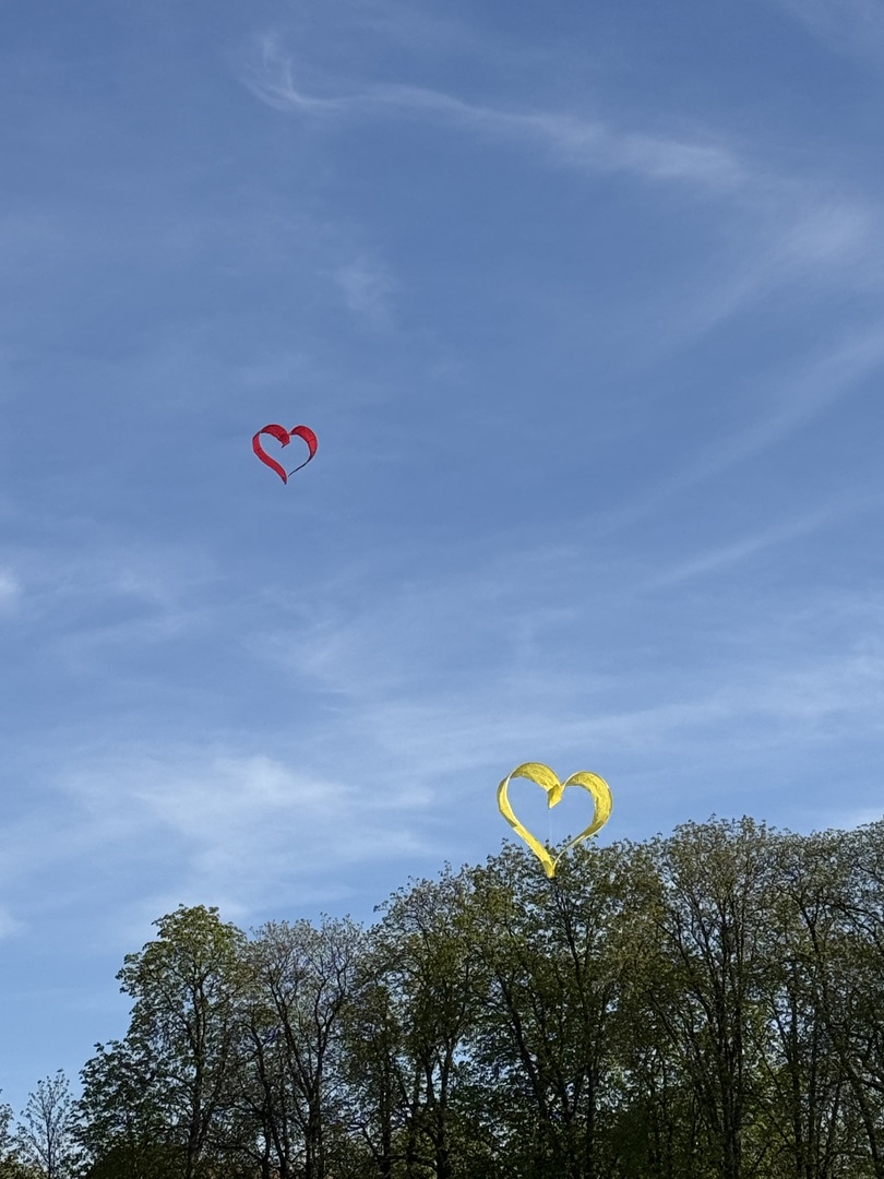 Ballonblühen Ludwigsburg: Farben, Drachen & Familienzauber - Galeriebild 12