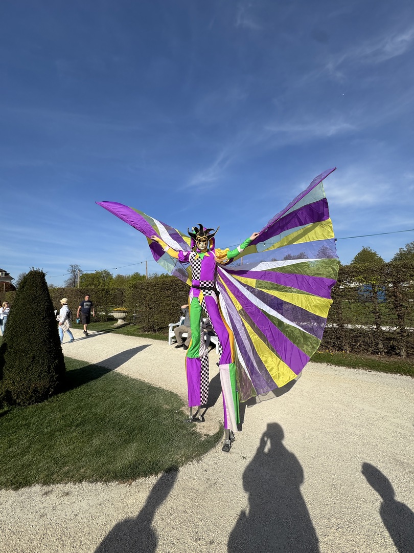 Ballonblühen Ludwigsburg: Farben, Drachen & Familienzauber - Galeriebild 13