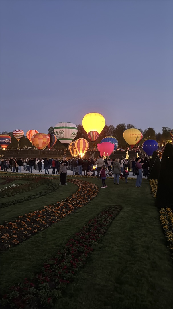 Ballonblühen Ludwigsburg: Farben, Drachen & Familienzauber - Galeriebild 3