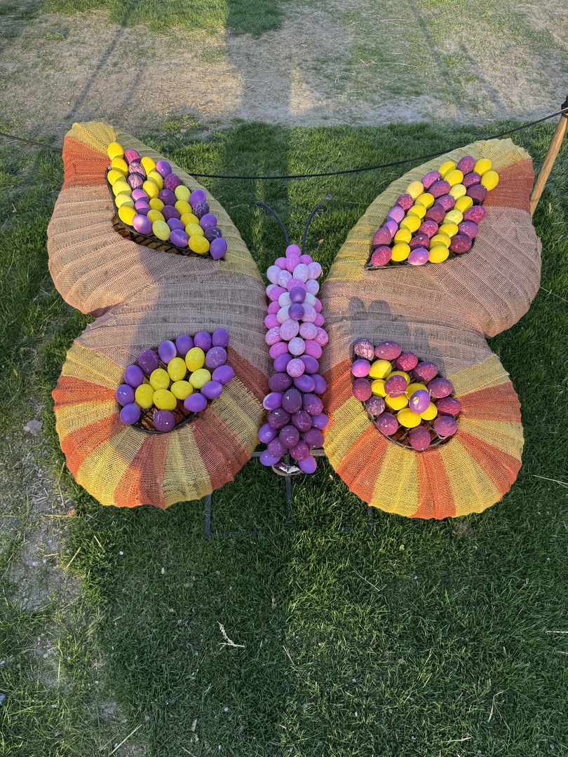 Ballonblühen Ludwigsburg: Farben, Drachen & Familienzauber - Galeriebild 6