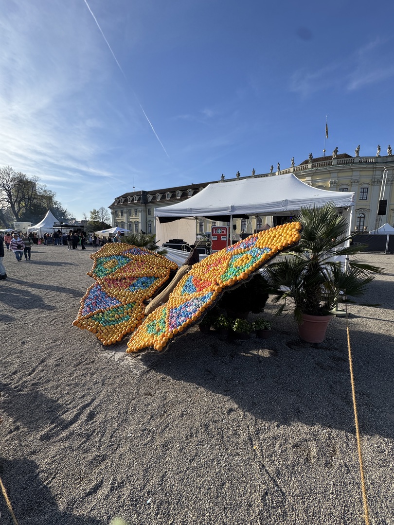 Ballonblühen Ludwigsburg: Farben, Drachen & Familienzauber - Galeriebild 7