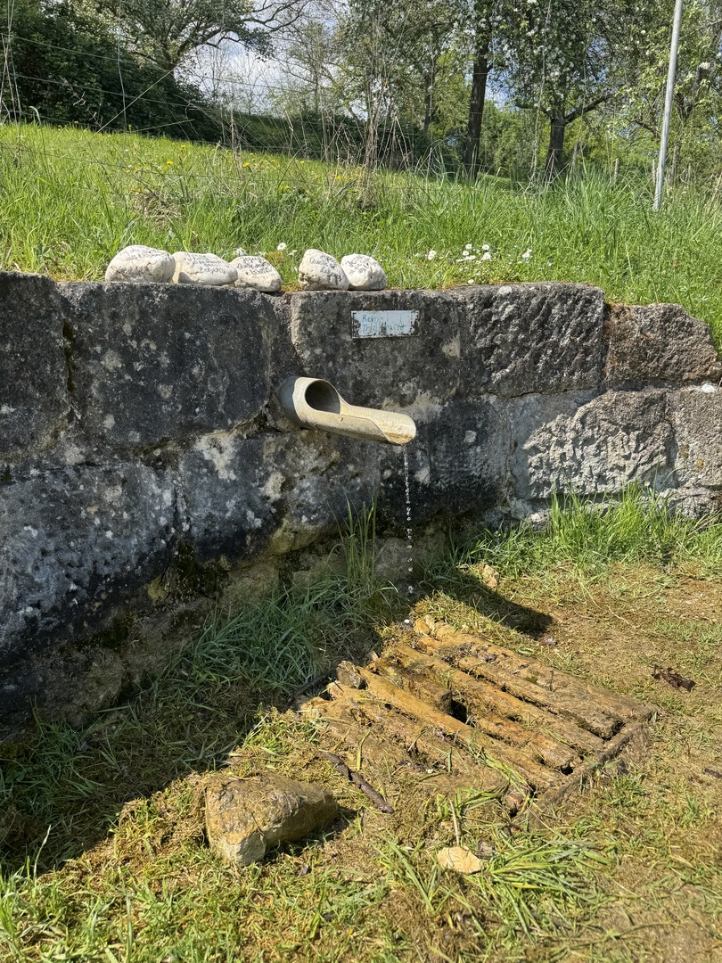 Stadtführungen Nürtingen: Spannend für die ganze Familie - Galeriebild 12