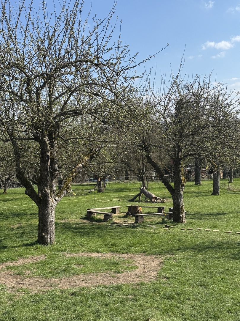 Ziegenstückle Reichenbach an der Fils - Hauptbild