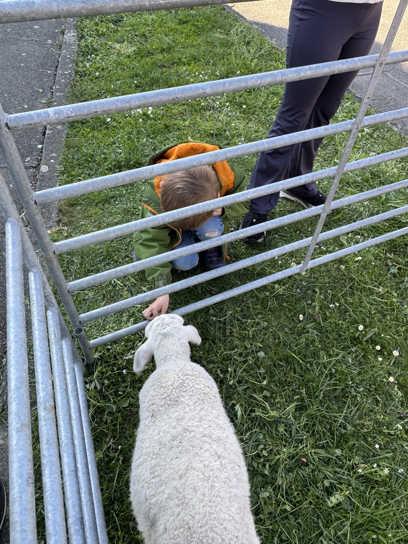 Mobile Pizza Nürtingen: Steinofen-Genuss unter freiem Himmel - Galeriebild 1