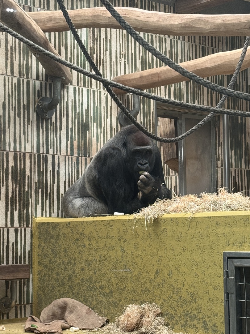 Tiergarten Nürnberg – Naturzoo & Familienparadies - Galeriebild 1
