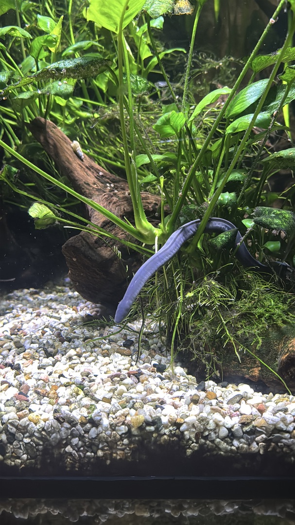 Tiergarten Nürnberg – Naturzoo & Familienparadies - Galeriebild 2