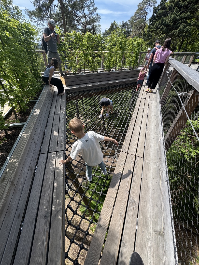 Tiergarten Nürnberg – Naturzoo & Familienparadies - Galeriebild 11