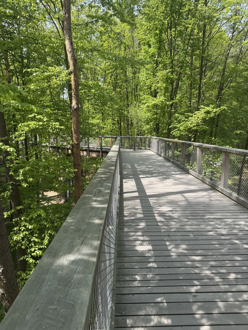 Tiergarten Nürnberg – Naturzoo & Familienparadies - Galeriebild 12