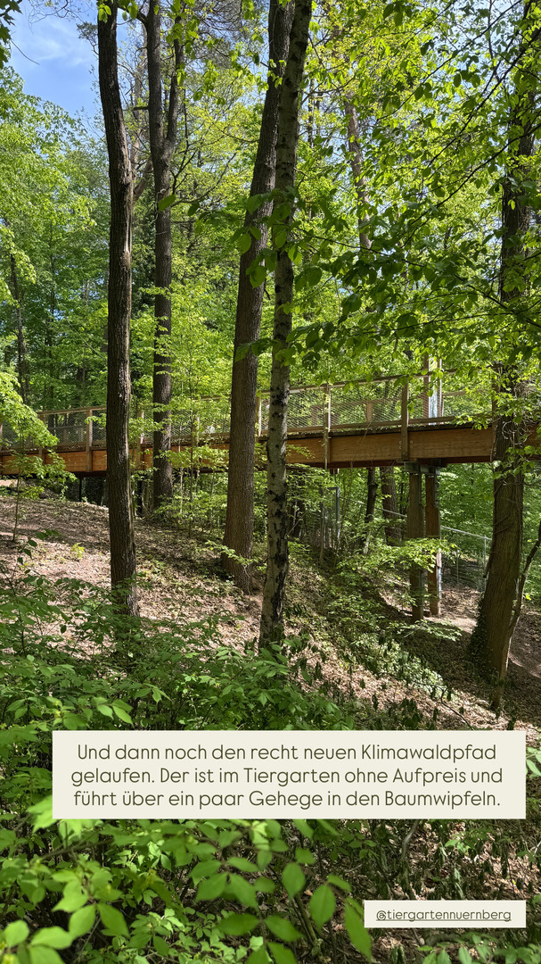 Tiergarten Nürnberg – Naturzoo & Familienparadies - Galeriebild 14