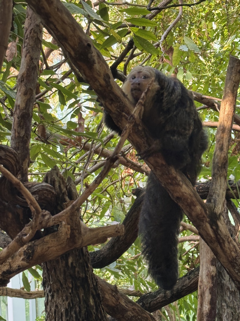 Tiergarten Nürnberg – Naturzoo & Familienparadies - Galeriebild 20