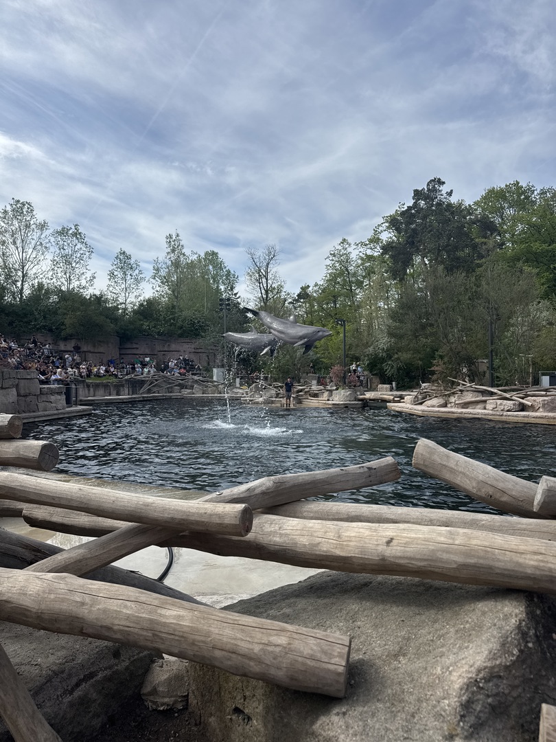 Tiergarten Nürnberg – Naturzoo & Familienparadies - Galeriebild 3