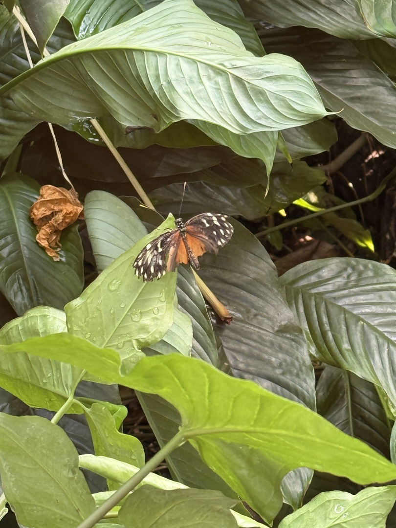 Tiergarten Nürnberg – Naturzoo & Familienparadies - Galeriebild 21