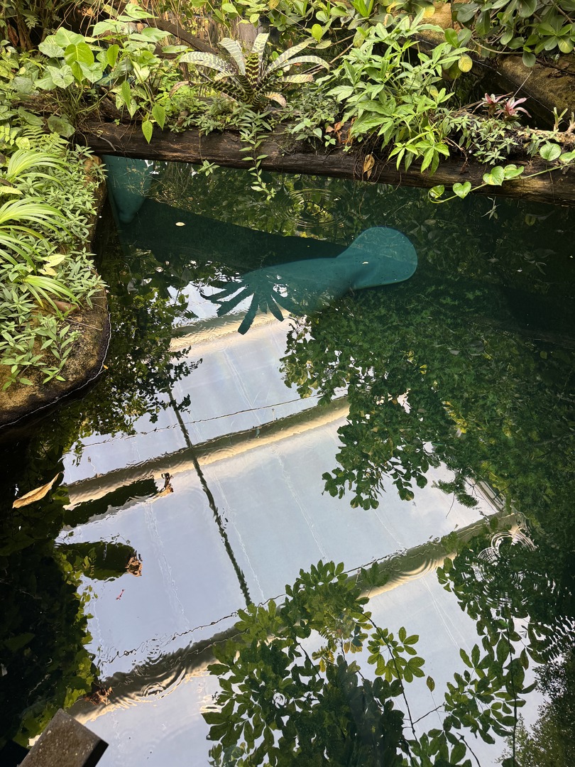 Tiergarten Nürnberg – Naturzoo & Familienparadies - Galeriebild 22