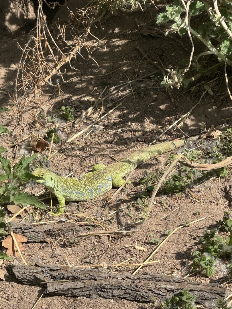 Tiergarten Nürnberg – Naturzoo & Familienparadies - Galeriebild 24
