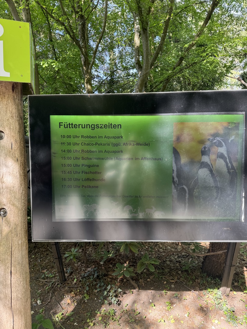 Tiergarten Nürnberg – Naturzoo & Familienparadies - Galeriebild 26