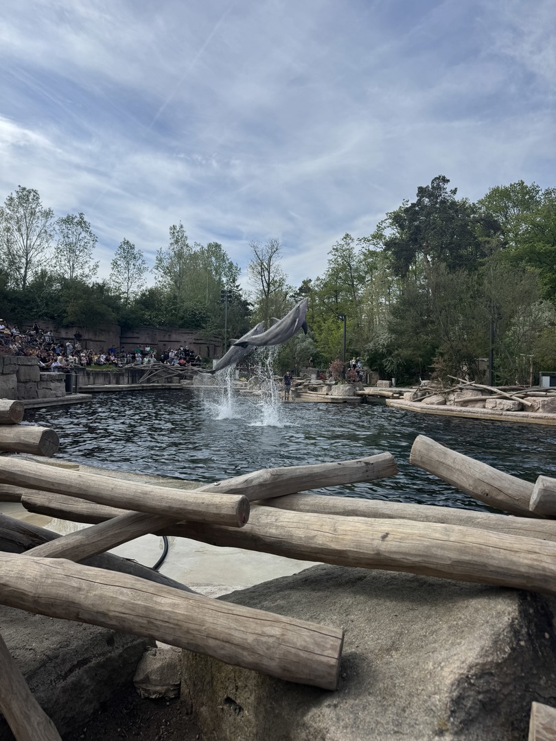 Tiergarten Nürnberg – Naturzoo & Familienparadies - Galeriebild 4