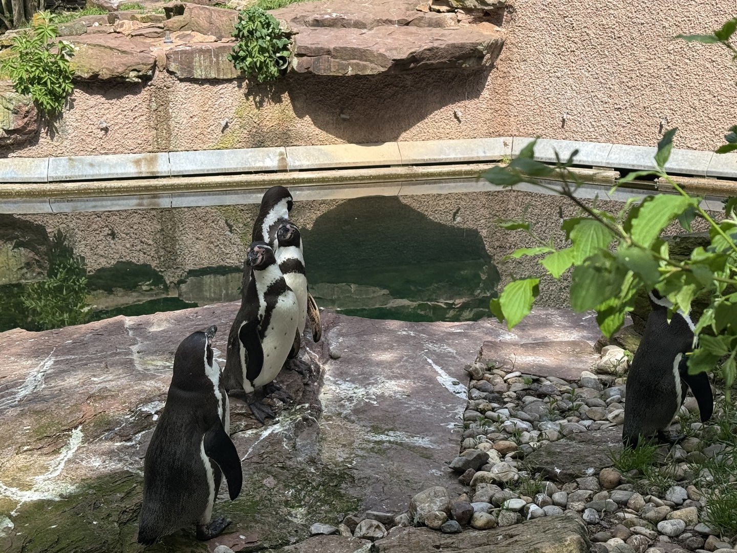 Tiergarten Nürnberg – Naturzoo & Familienparadies - Galeriebild 8