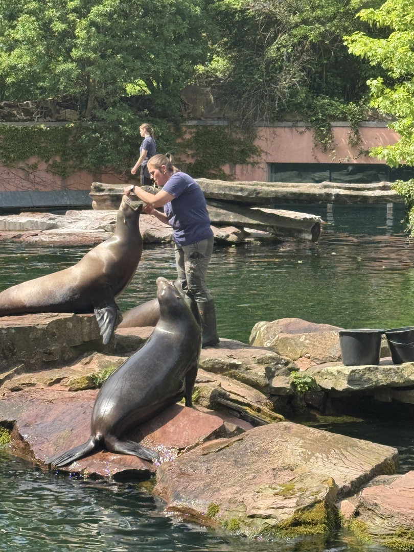 Tiergarten Nürnberg – Naturzoo & Familienparadies - Galeriebild 9