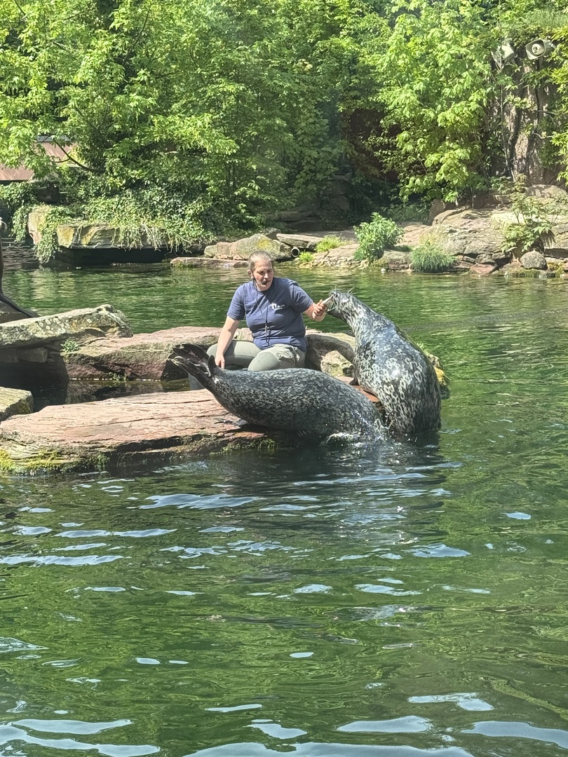 Tiergarten Nürnberg – Naturzoo & Familienparadies - Galeriebild 10