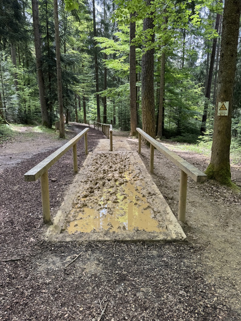 Barfußpark Dornstetten – Natur mit allen Sinnen erleben - Galeriebild 2