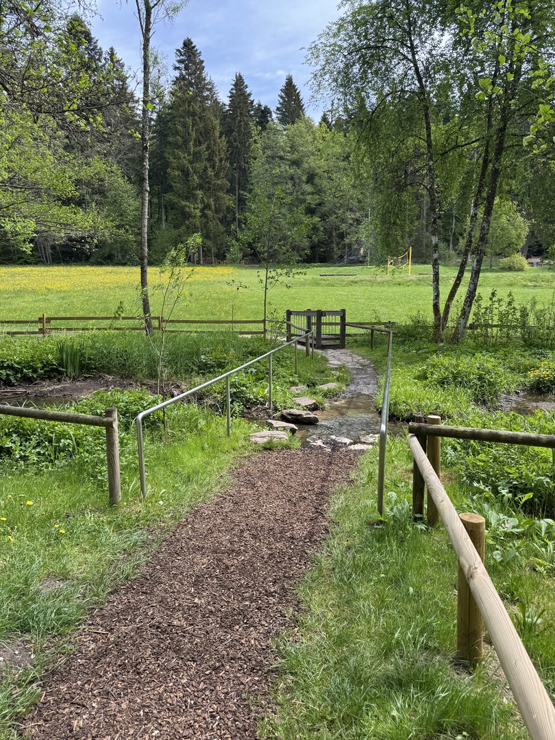 Barfußpark Dornstetten – Natur mit allen Sinnen erleben - Galeriebild 11