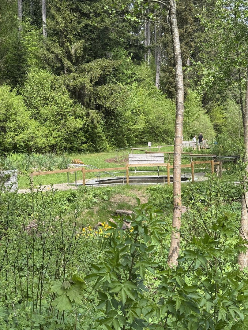 Barfußpark Dornstetten – Natur mit allen Sinnen erleben - Galeriebild 12