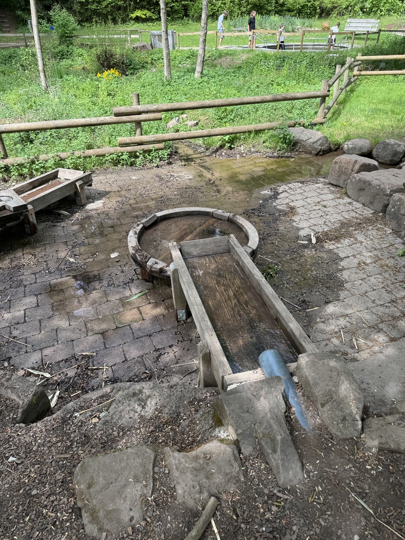 Barfußpark Dornstetten – Natur mit allen Sinnen erleben - Galeriebild 13