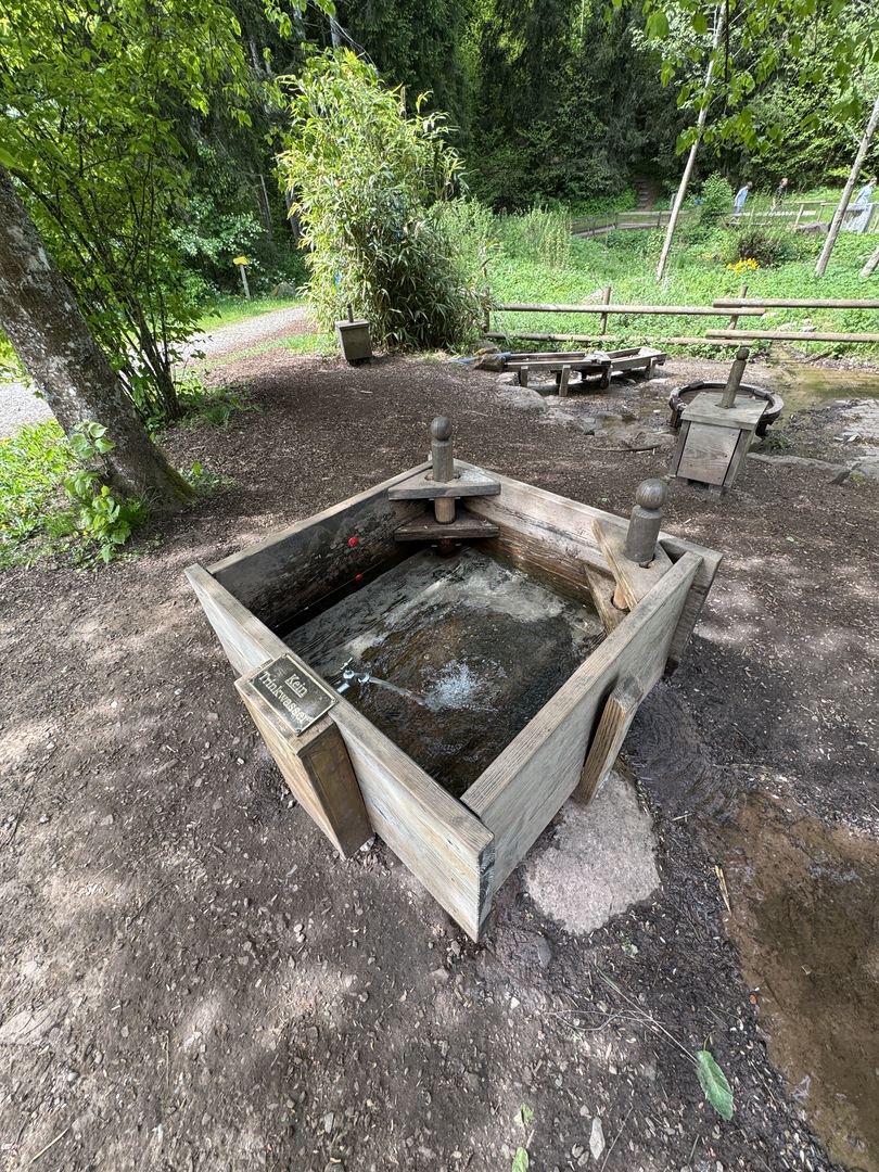 Barfußpark Dornstetten – Natur mit allen Sinnen erleben - Galeriebild 14